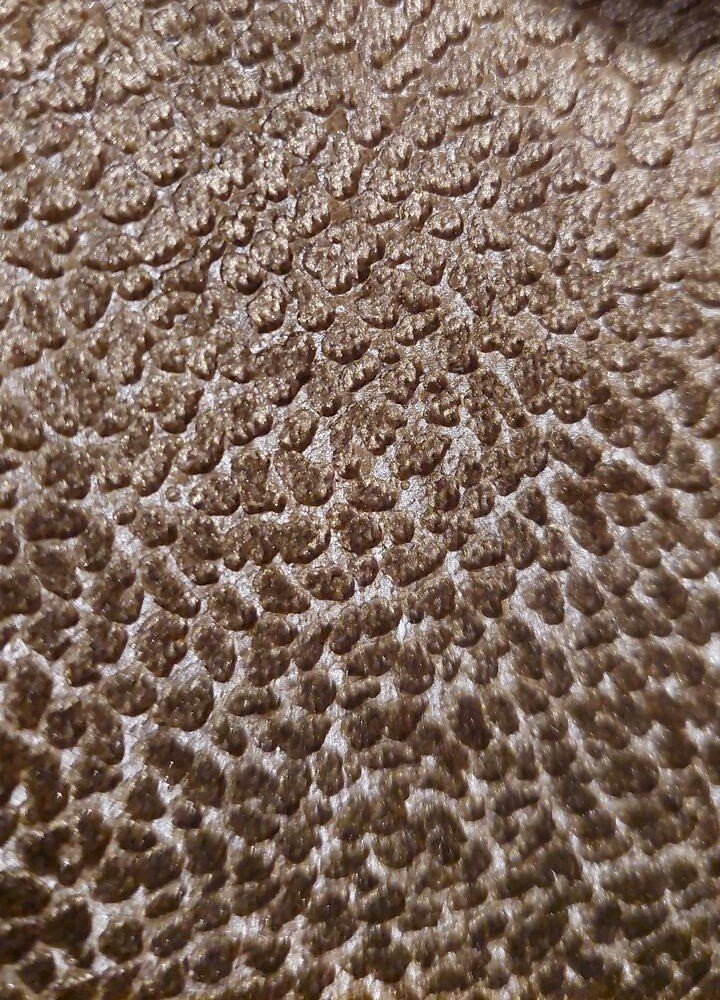 stof/kleur: safari snake gold